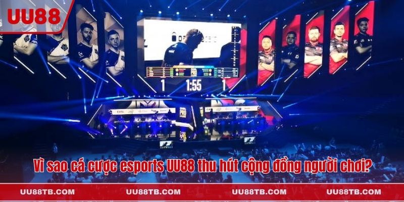 Vì sao cá cược esports UU88 thu hút cộng đồng người chơi?
